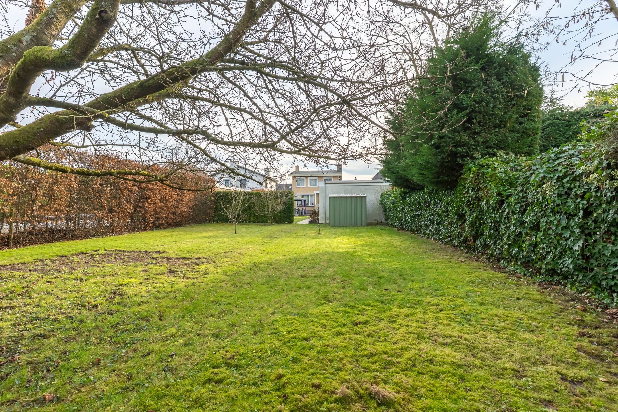 Foto 3 van Trichterweg 175