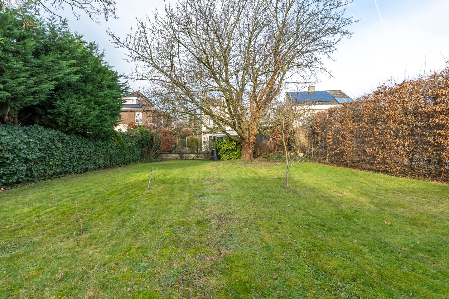 Foto 29 van Trichterweg 175