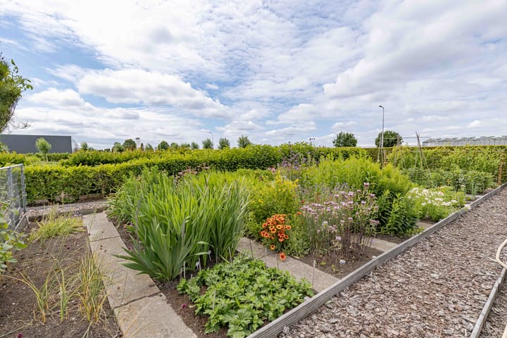 Foto 10 van Voshol 39