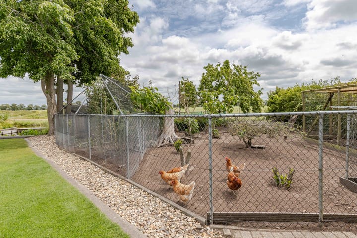 Foto 16 van Voshol 39