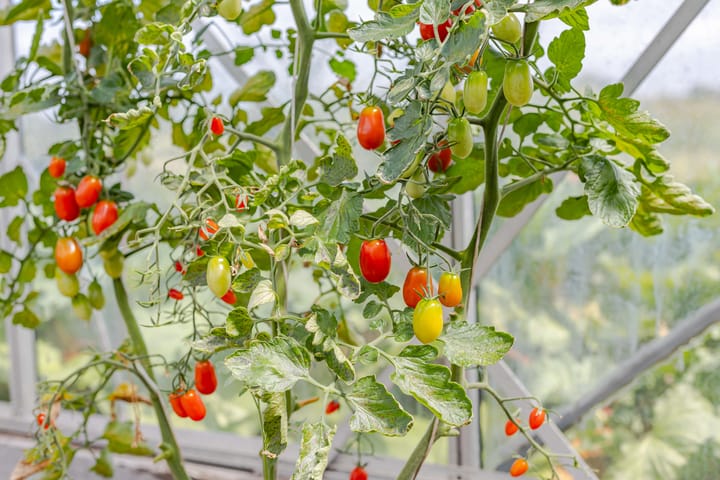 Foto 28 van Voshol 39