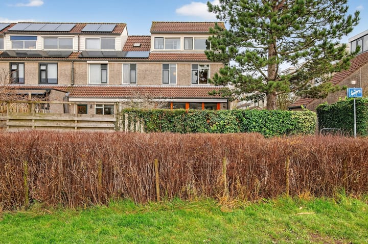 Jonge Linde 36 main image