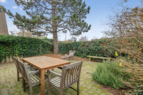 Jonge Linde 36 secondary image