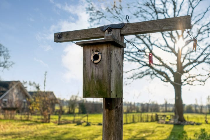 Photo 88 of Mulderij 10