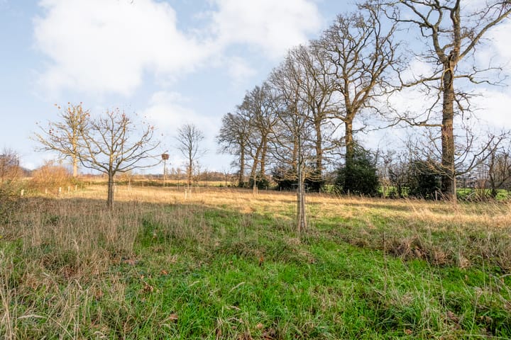 Photo 112 of Mulderij 10