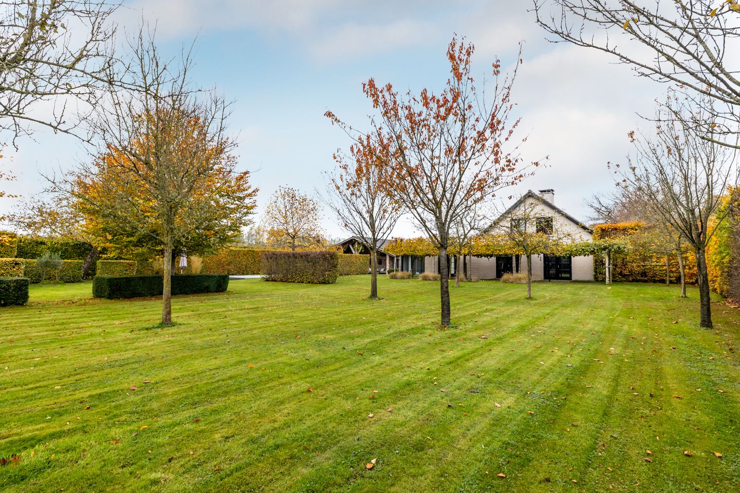 Foto 5 van Overaseweg 230