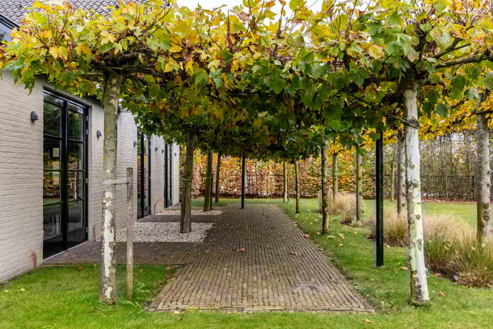 Foto 60 van Overaseweg 230