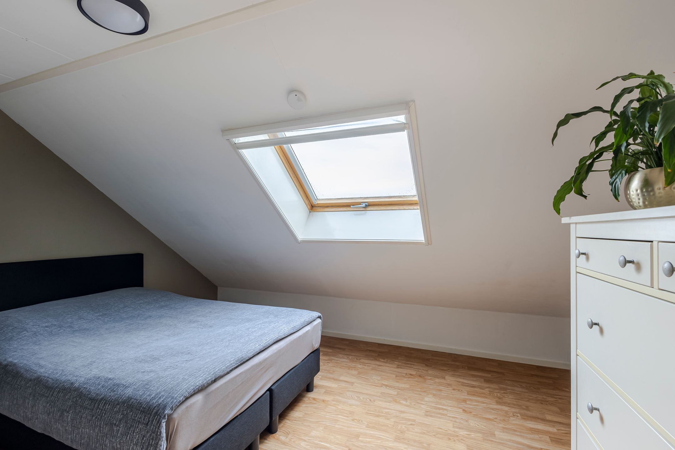 Foto 27 van Van den Boetzelaerlaan 47