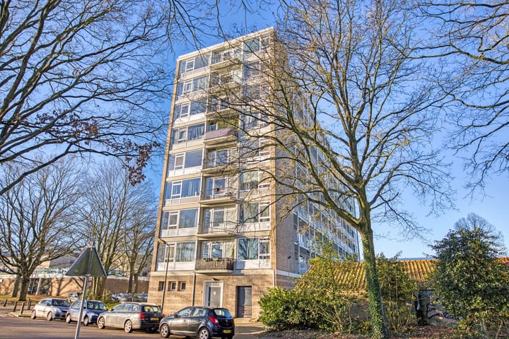 Lambert Heijnricsstraat 26 D