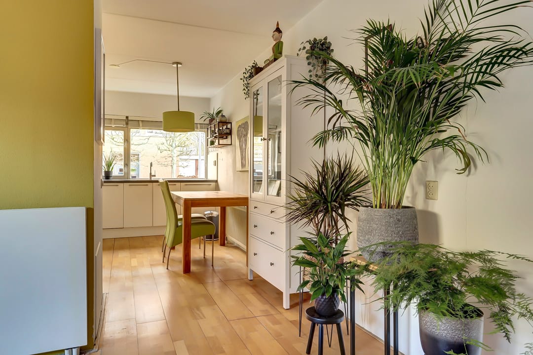 Foto 8 van Platte Molendijk 16