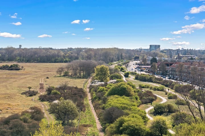 Foto 37 van Groningsestraat 347