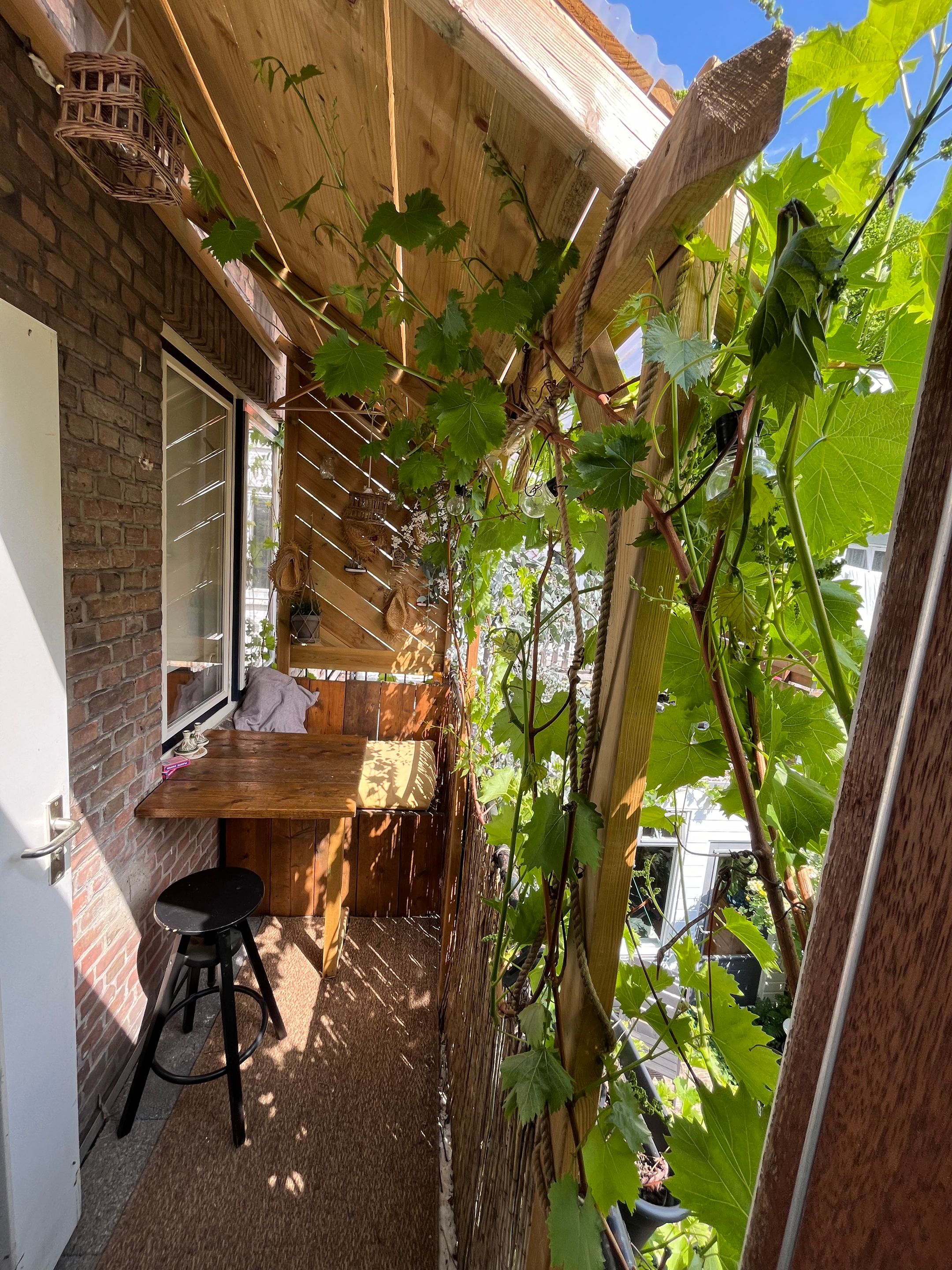 Photo 48 of Linnaeusstraat 45-BS