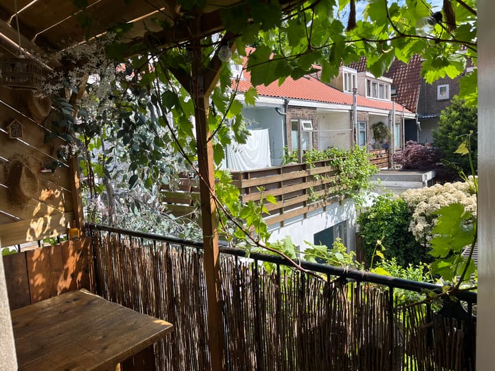 Foto 49 van Linnaeusstraat 45-BS