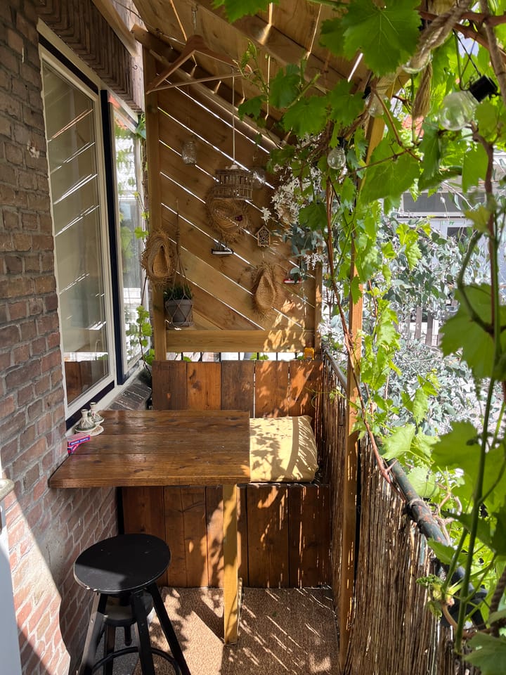 Foto 50 van Linnaeusstraat 45-BS