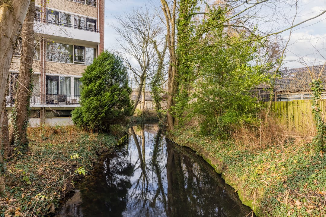 Foto 37 van Burggravenlaan 40