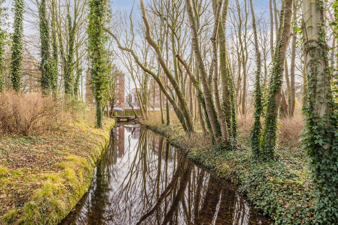 Foto 38 van Burggravenlaan 40