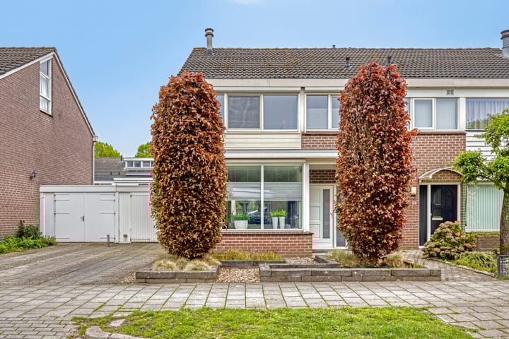 Havezathe 34 main image