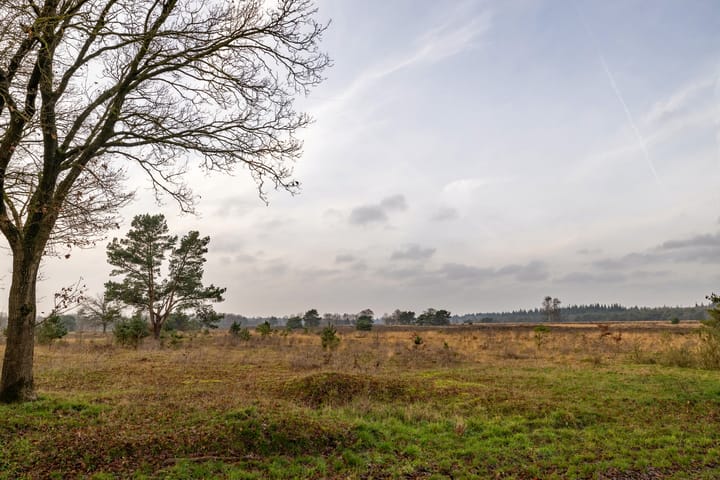 Foto 48 van Oude Hof 34