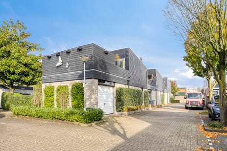 undefined main image