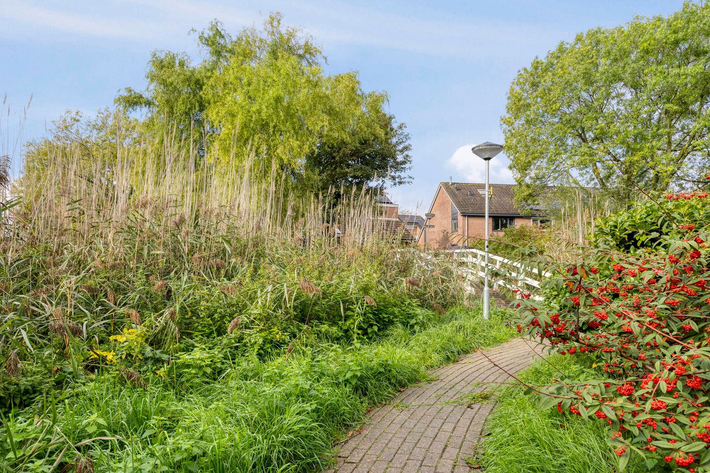 Foto 29 van Pijnenburg 84