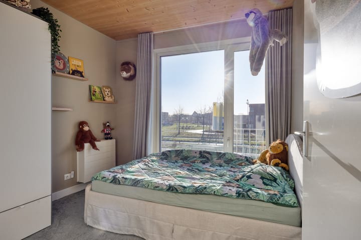 Foto 35 van Grasbloem 8-C