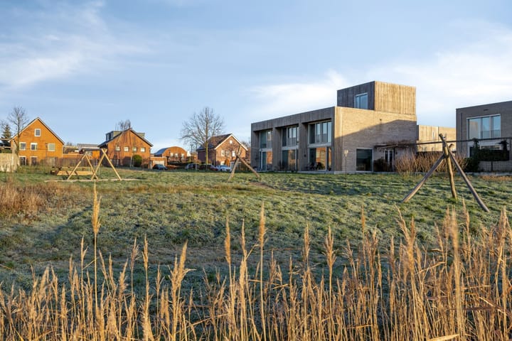 Foto 8 van Grasbloem 8-C