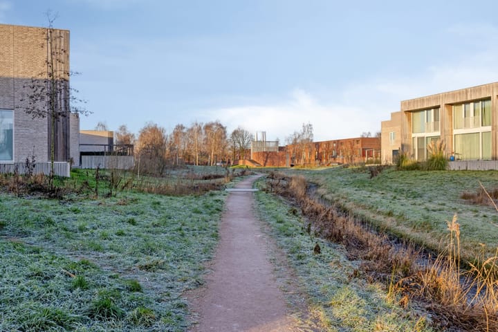 Foto 7 van Grasbloem 8-C