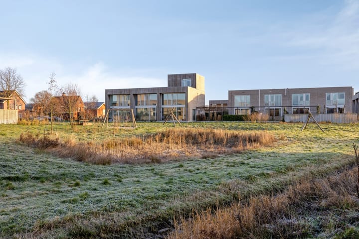 Foto 6 van Grasbloem 8-C