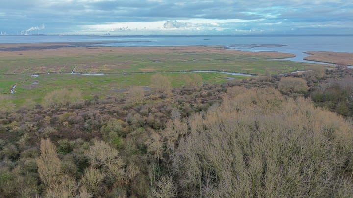 Photo 41 of Breenstraat 41