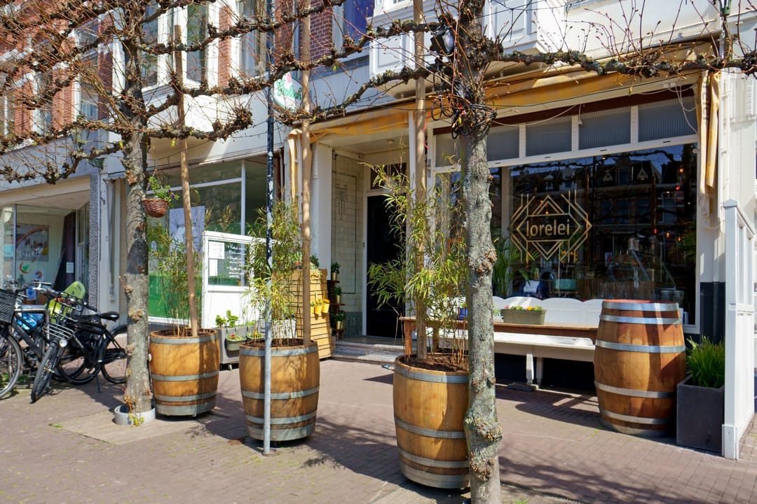 Foto 37 van Celsiusstraat 27