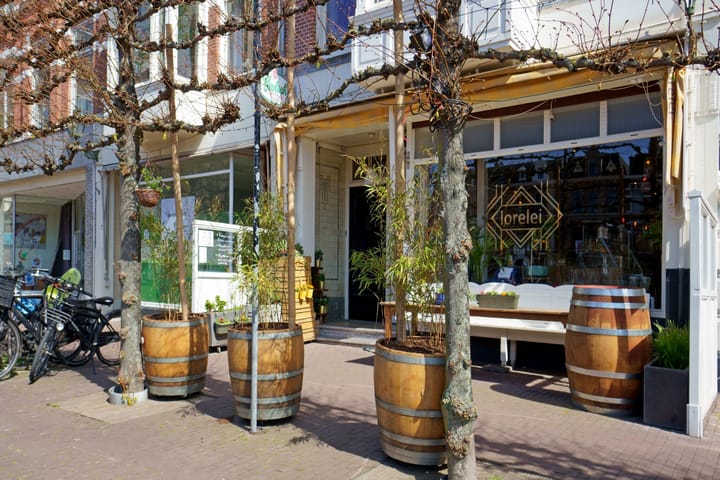 Photo 37 of Celsiusstraat 27