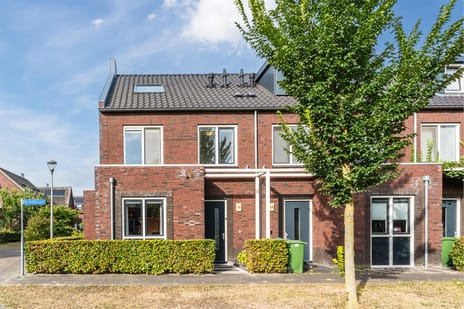 Hermelijnzoom thumbnail