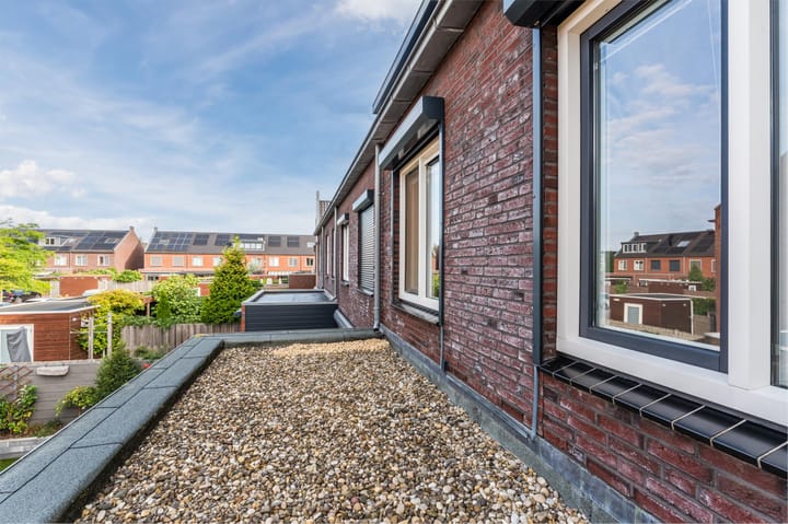 Foto 50 van Hermelijnzoom 16