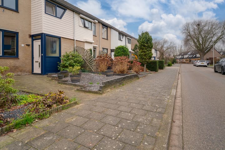 Foto 5 van Potterstraat 33