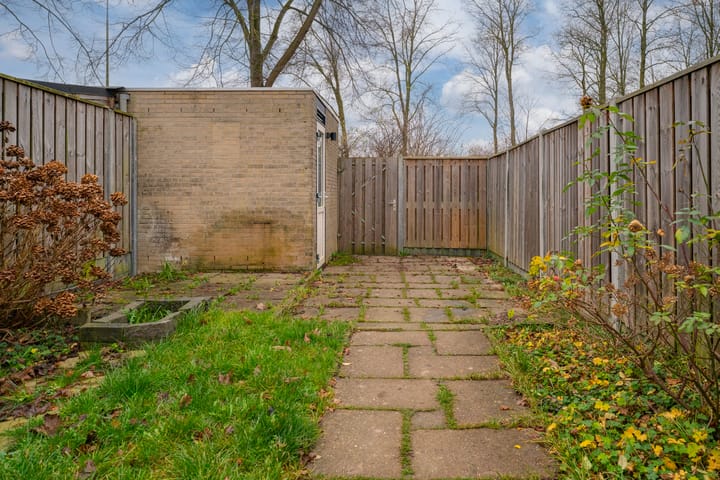 Foto 30 van Potterstraat 33