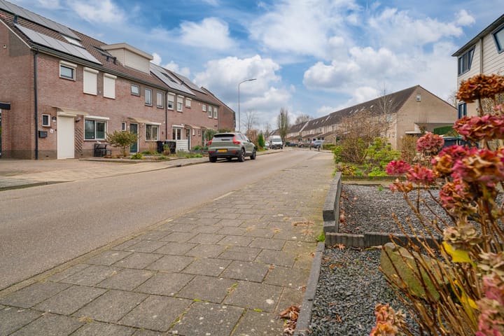 Foto 59 van Potterstraat 33