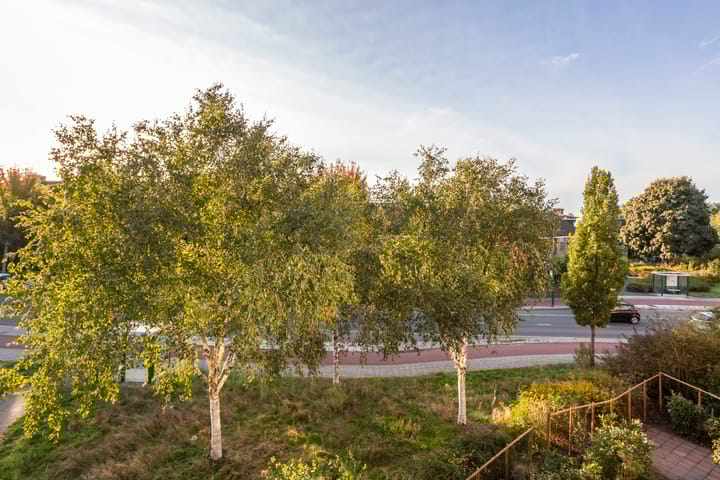 Photo 14 of Hugo van der Goeslaan 41