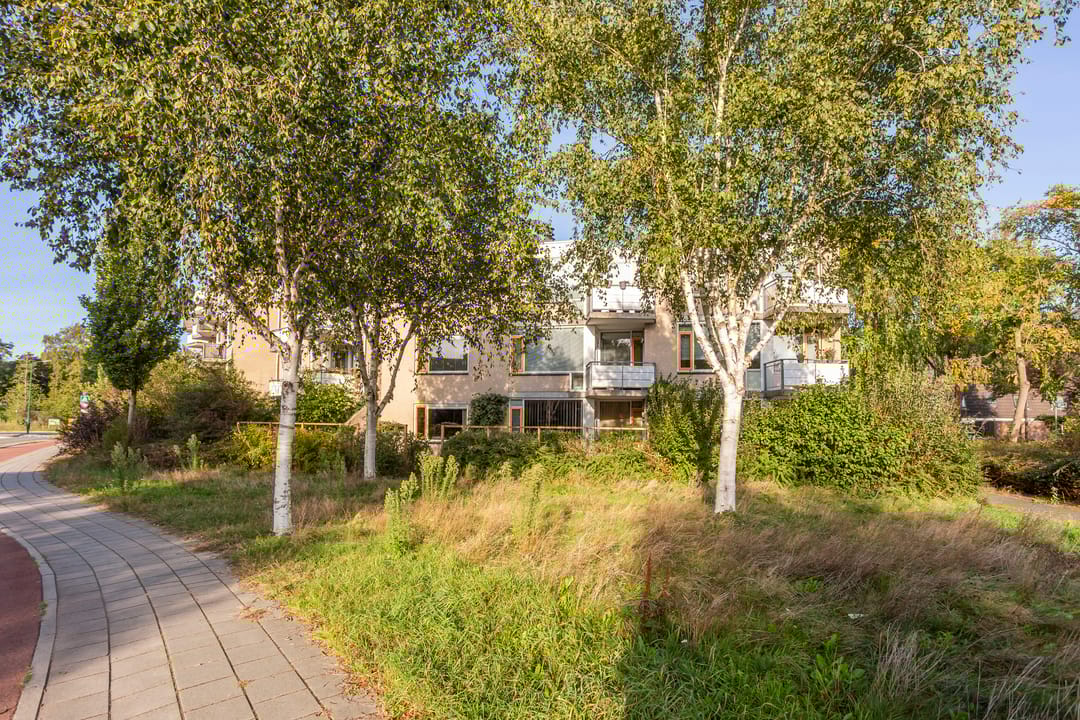 Foto 28 van Hugo van der Goeslaan 41