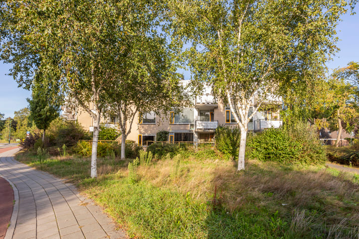 Photo 28 of Hugo van der Goeslaan 41