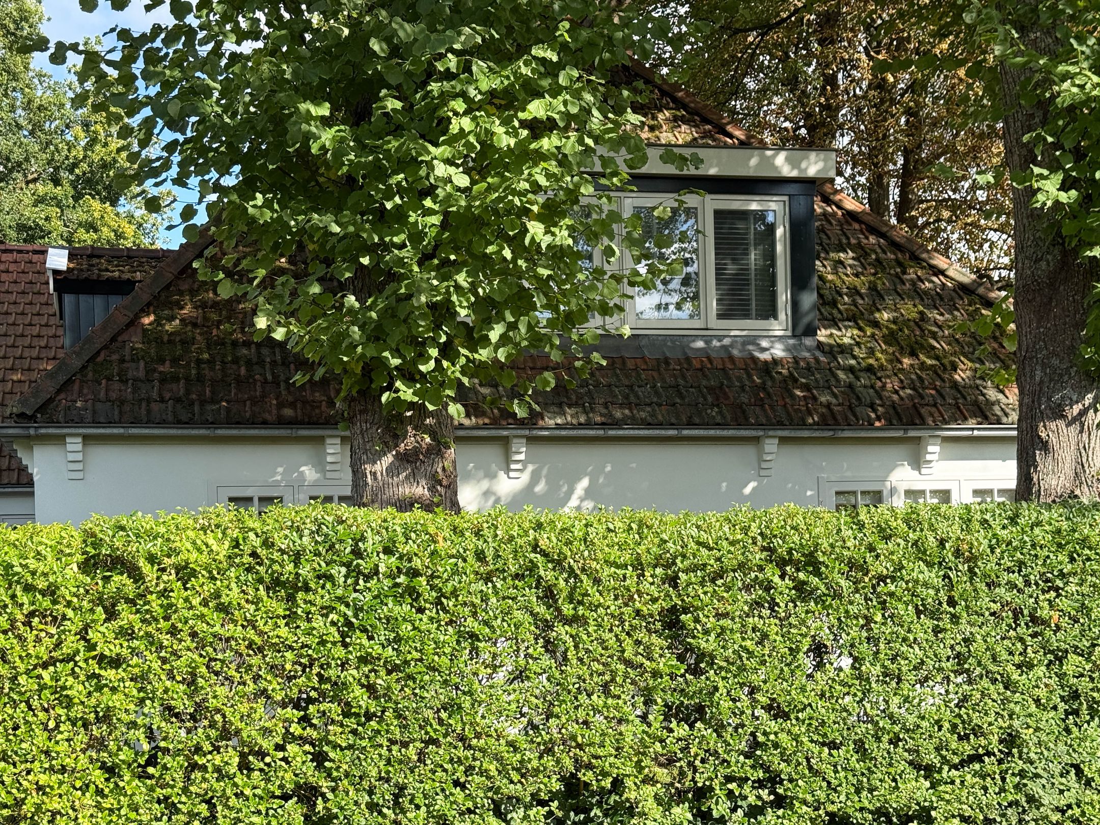 Photo 57 of Karel de Grotelaan 33