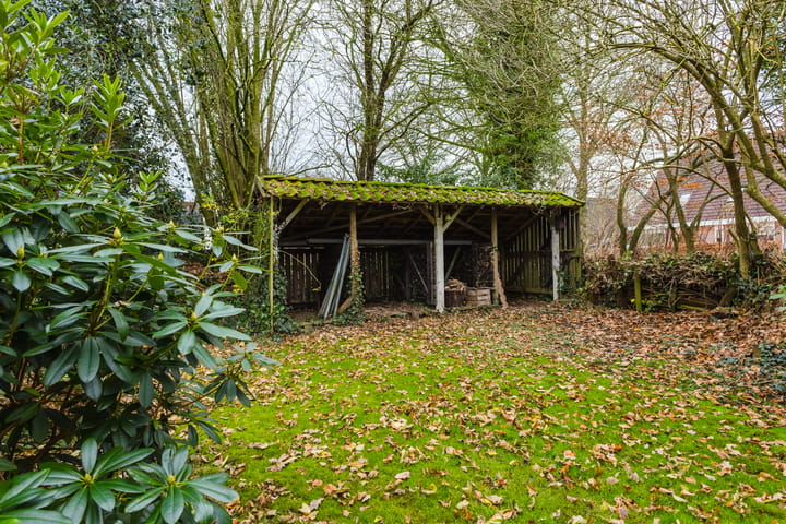 Foto 18 van De Buorren 80