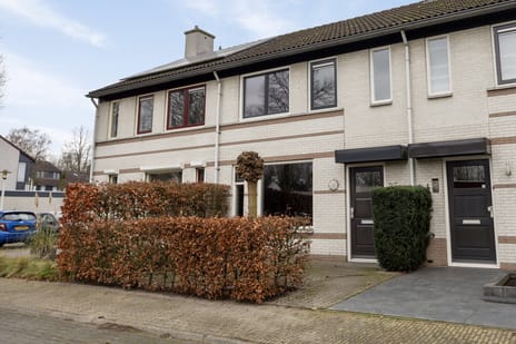 undefined main image