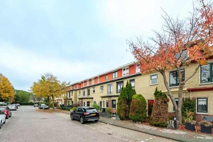 Foto 3 van Govert Flinckhage 28