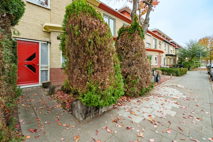 Foto 5 van Govert Flinckhage 28