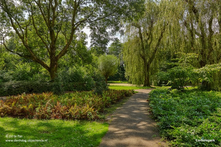 Photo 47 of Pompe van Meerdervoortstraat 2