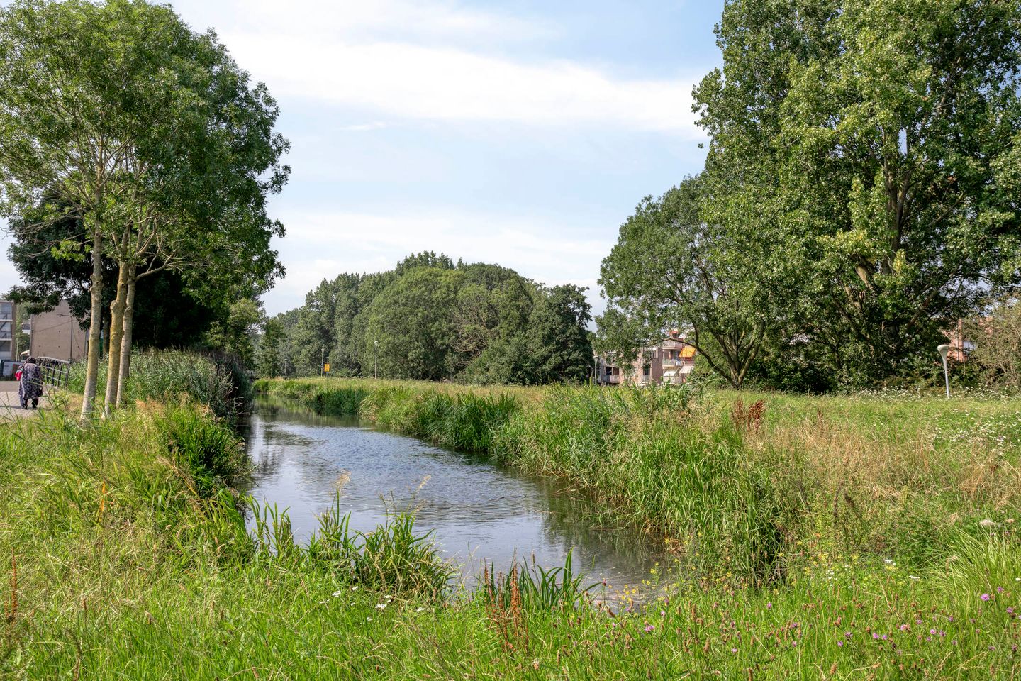 Foto 29 van Vliestroom 52