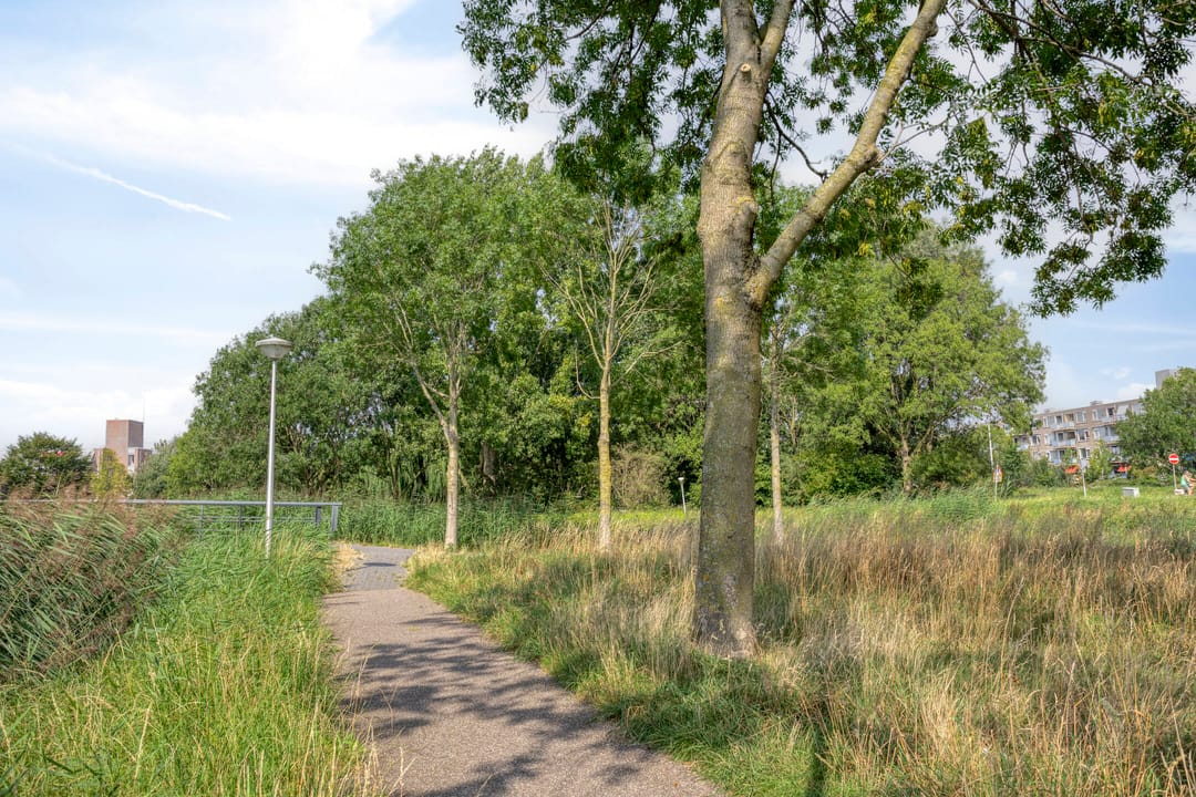 Foto 31 van Vliestroom 52