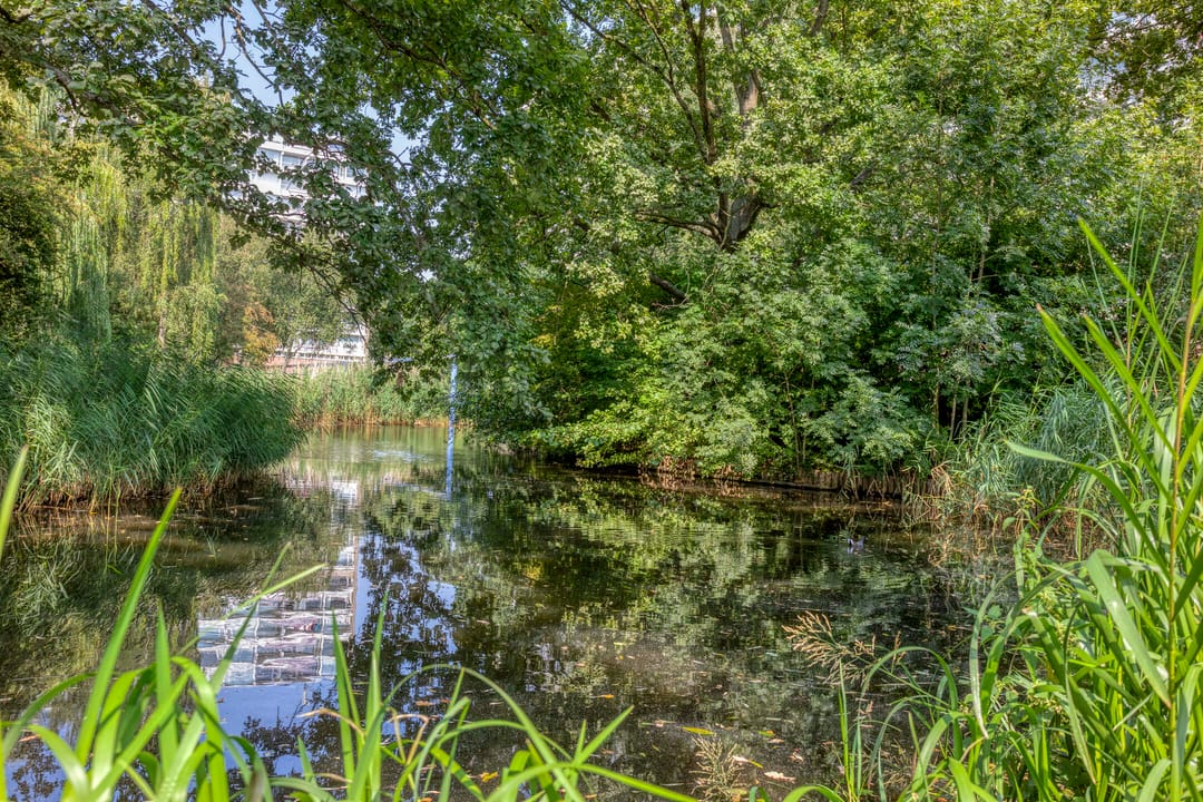 Foto 32 van Vliestroom 52