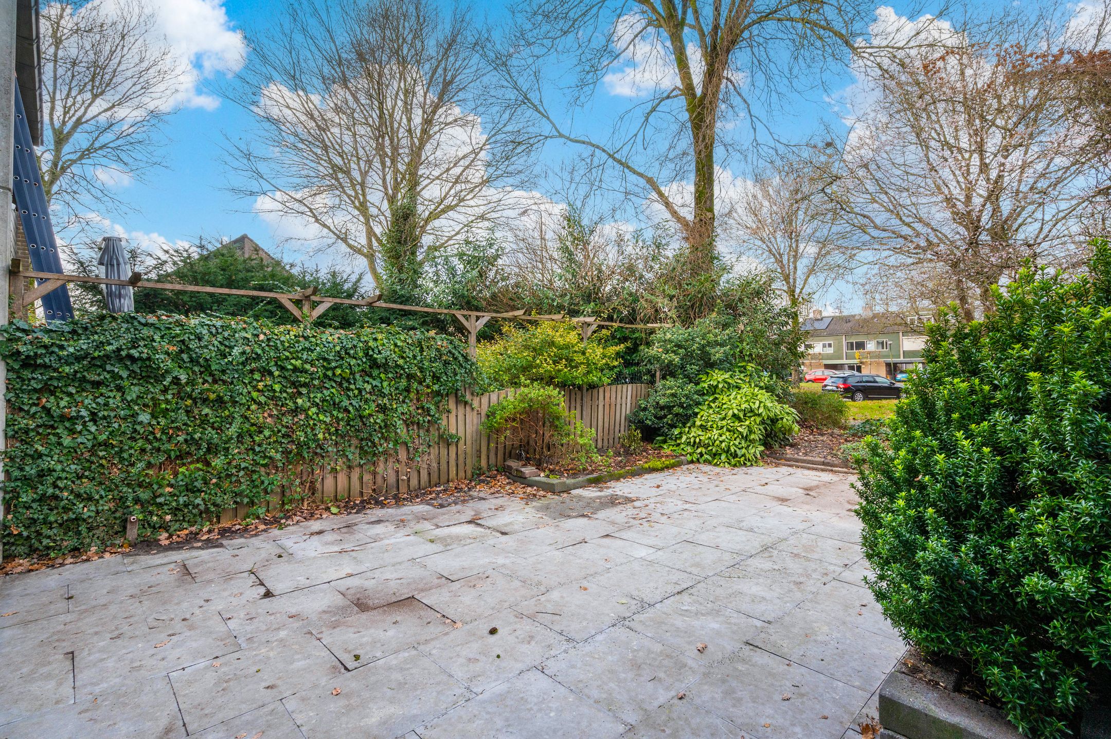 Foto 9 van Houtsnijdershorst 650