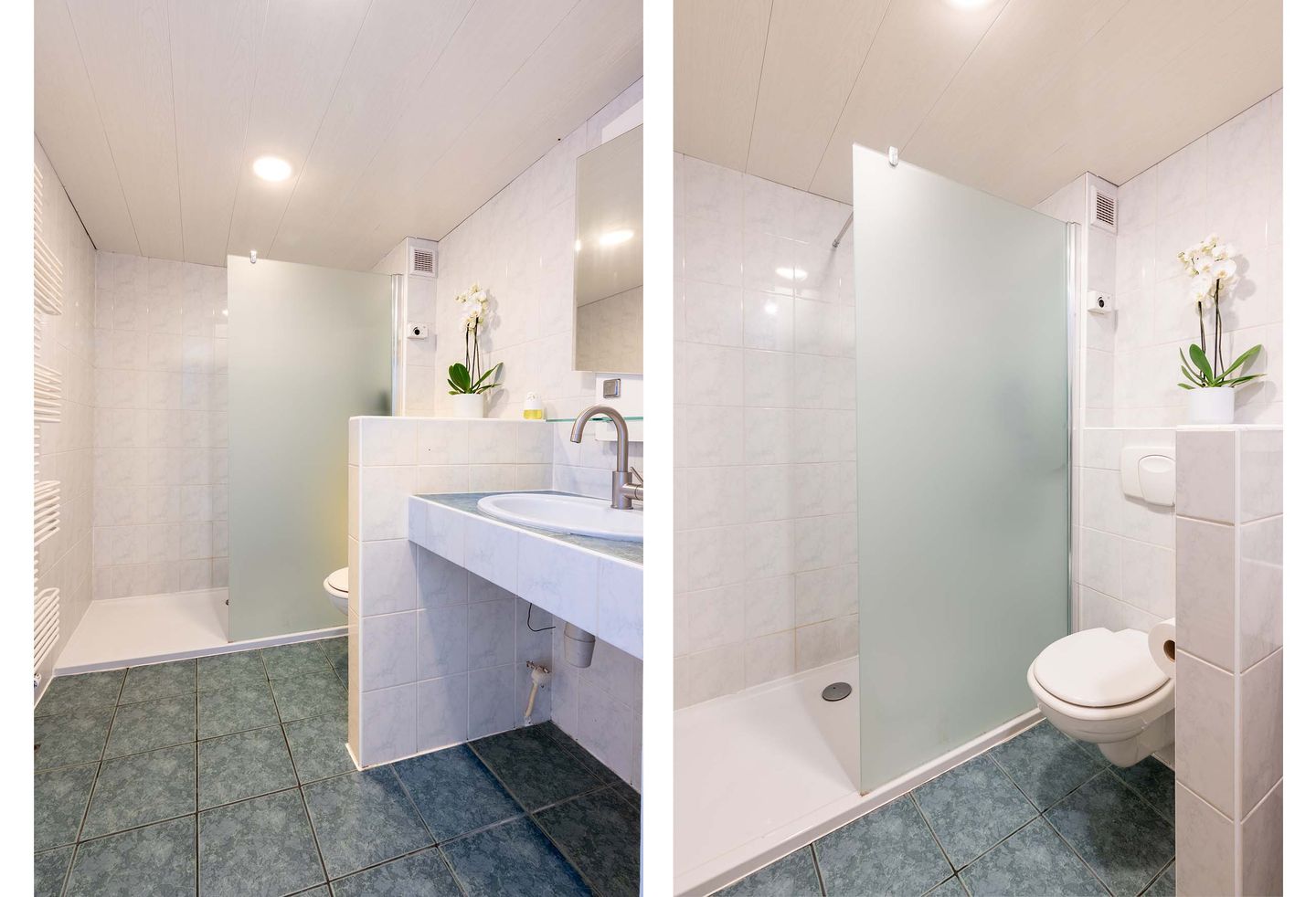 Foto 19 van Houtsnijdershorst 650